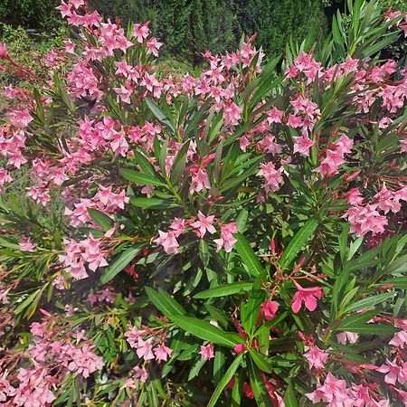 Le Gite Calluna Sablet ภายนอก รูปภาพ